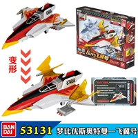 53131GUYS Flying Wing Number