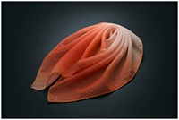 Оранжевый, 48×48см