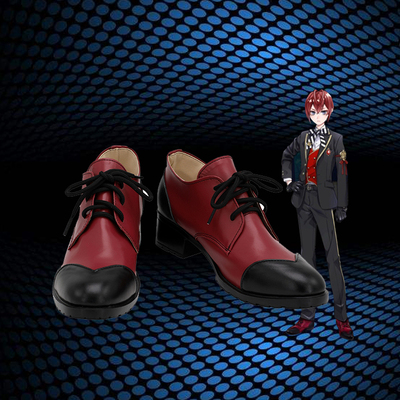 taobao agent A202 distorted Wonderland Ridel COS shoes COSPLAY shoes to customize