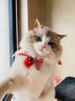 Красные бусины