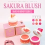 Màu đỏ với ánh nắng mặt trời màu đỏ nữ blush nữ air cushion chính hãng trang điểm màu nude dưỡng ẩm làm sáng màu da không thấm nước trang điểm tự nhiên kéo dài - Blush / Cochineal má hồng bobbi brown