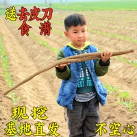 2021 Xuzhou lvzi Fresh Niu Gong Root 5 фунтов здоровья золотые коры, чай, фермеры чая, корни овощей говядины