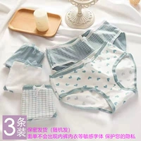 Fresh Lan GE (3 установки)