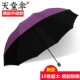 Фиолетовый винил 2-3 зонтик