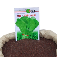 Зеленый стебель капуста/500G [доступная масса]