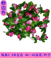 Цвет розового края маленькая розовая лоза 2 (10 бесплатная доставка)