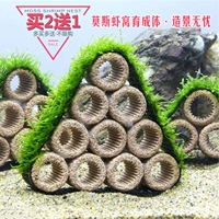 Творческое гнездо с креветками моха, пористый горшок с креветками Дом Рыба Танка ландшафтная декоративная сета