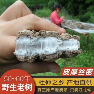 Eucmomiad Eucommiad, Lue Yang du Zhong Qinling Wild Tree Wild Tree Eucommiaba Publisa Bubble Wine 500G