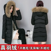 Vịt vịt đích thực áo khoác nữ dài phần phiên bản Hàn Quốc dày ấm lớn cổ áo len mỏng giảm béo áo khoác thủy triều