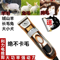 Lee quyền lực cao thú cưng lông clipper chó mèo thỏ lớn chó cạo điện cắt lông len clipper - Cat / Dog Beauty & Cleaning Supplies lược chải lông poodle