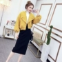 Thu đông 2018 phiên bản Hàn Quốc mới của các quý cô áo khoác ngắn + áo phông đáy + váy dệt kim ba mảnh phù hợp với nữ áo kiểu nữ đẹp 2021