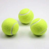 Phục vụ trò chơi cơ sở và trung cấp thú cưng đặc biệt đồ chơi cao hồi phục quần vợt đào tạo thiết bị bóng trẻ em 3 - Quần vợt vợt wilson blade