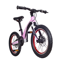 Принцесса порошок