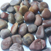 Свет бросить красный 3-6