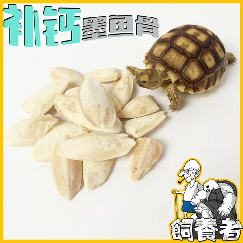 Кальциевая добавка каравиц костяная розовая черепаха кальциевая добавка Птицы, добавка кальция, яйцо, яйцо, мягкая раковина