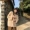 Mới của Hàn Quốc chic phong cách thời trang đơn ngực lỏng dài tay áo khoác cardigan màu sắc hoang dã áo len áo len phụ nữ thời trang công sở hàn quốc