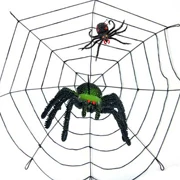 Halloween đạo cụ trang trí cung cấp cảnh kinh dị bố trí nhà ma ám nhện nhện mạng nhện tơ nhện thật - Sản phẩm Đảng / Magic / Hiệu suất