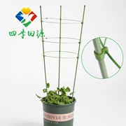 Nguồn cung cấp vườn, mây, leo núi, đứng hoa, nhà máy, wrought sắt đứng hoa, hoa hồng, mây, hoop, hoa trụ cột