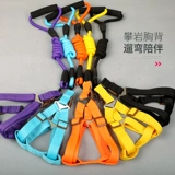 Щенка для щенка веревочная веревочная ремешок с воротником маленькая ходьба для собак верево