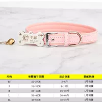 Порошковый круг+серебряная кость