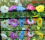 Hoa lụa hoa mẫu đơn mây hoa chuỗi Qingming hoa mô phỏng quét hoa bia mộ trang trí hoa treo hoa nho treo tường hoa - Hoa nhân tạo / Cây / Trái cây hoa lan giả cao cấp