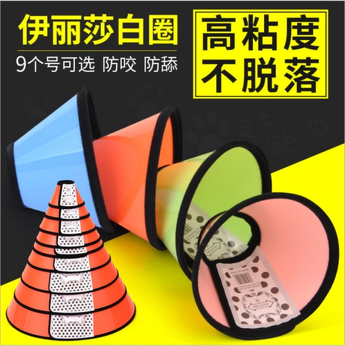 Элизабет Кружная собака и Кошка глубоко воротнич