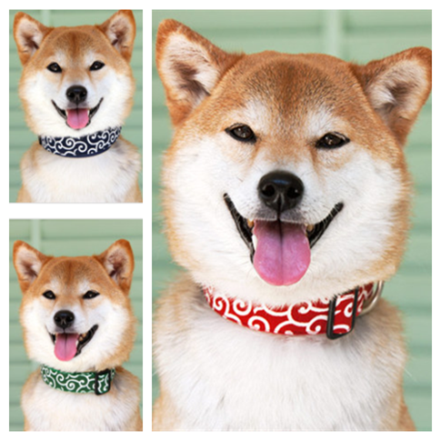 Details About Handmade Red Green Blue Dog Shiba Inu Necklace Choker Dog Collar Japanese Sa