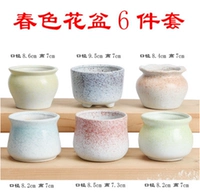 Spring Flower Pot 6 -Piece Set
