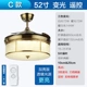 C Тип 52 -INCH LIGHT LEAGHT+пульт дистанционного управления
