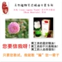 Huanggongjia Rose Single Aromather vật liệu tinh dầu 5ml Cleansing Oil Moisturising Moisturising Anti-nhăn Firming Làm dịu chính hãng tinh dầu kích mọc tóc