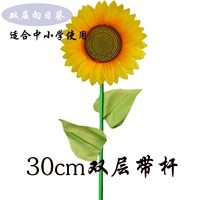 30 см двойной подсолнечной группы деньги