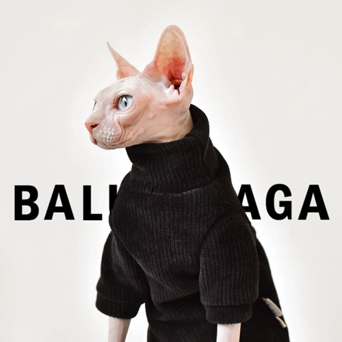 Y · H касается искреннего снежного бархатного свитера осенью и зимой, толстая одежда безволосочной кошки yonghe safax