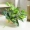 Mô phỏng củ cải xanh trong chậu và ngoài trời trang trí chậu nhựa cây hoa nhân tạo và cây trang trí mô phỏng thực vật trang trí - Hoa nhân tạo / Cây / Trái cây