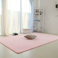 Coral nhung cửa hàng thảm cho bột nhà sống cà phê phòng bàn phòng ngủ hiện đại nhà tatami mat có thể được đưa ra cuốn sách đầu giường - Thảm thảm cuộn trải sàn