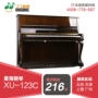 Đinh Đinh Qinqin Bắc Kinh Thượng Hải Thiên Tân Hàng Châu Cho thuê đàn piano thẳng mới cho thuê đàn piano Xinghai XU-123C - dương cầm yamaha cp4
