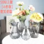 [Bốn bộ] bình thủy tinh châu Âu đơn giản mới trồng hoa thủy canh hoa khô phòng khách cắm hoa - Vase / Bồn hoa & Kệ giỏ treo hoa