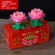 № 5 Lotus Green 1 Box 2 F Cap