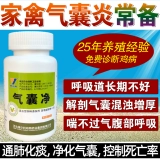 Курица зверя с упрямыми респираторными заболеваниями кисты, воздушные кубики, курица, утка, голубиная бедность.