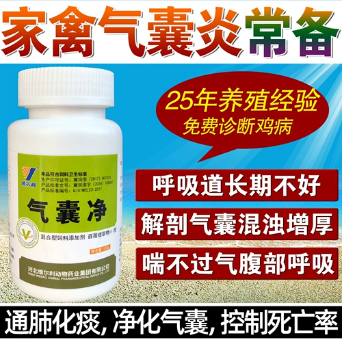 Курица зверя с упрямыми респираторными заболеваниями кисты, воздушные кубики, курица, утка, голубиная бедность.