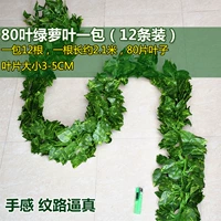80 листовых зеленых лопат 12 установка