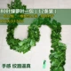 80 листовых зеленых лопат 12 установка