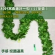 80 Ye Changchun Vine Leaves 12 нарядов