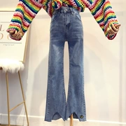 2018 xuân hè mới Quần jeans ống loe mỏng mỏng Hàn Quốc thêu ong không đều quần góc nữ triều