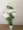 Hoa giả mô phỏng hoa sen lớn hoa sen hoa sen khô hoa sàn hoa bonsai cho phật đặt hoa phật cho phật - Hoa nhân tạo / Cây / Trái cây