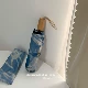 Масляная живопись Голубой виниловый солнечный дождливый зонтик