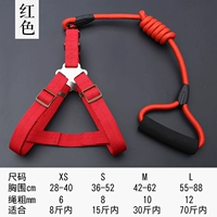 Красная двухлепая набор [грудь назад+веревка]