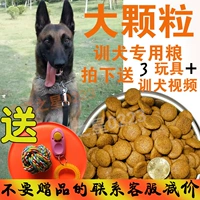 Chó huấn luyện hạt lớn thức ăn cho chó đặc biệt Phần thưởng 2,5kg đồ ăn nhẹ Chó Gree Huibite thành loại chung 5 kg - Chó Staples thức ăn chó royal canin