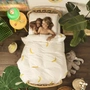 [Hà Lan Snurk] trẻ em sản phẩm giường cotton mẫu giáo chăn giường giường chuối khỉ 	bộ chăn ga cho bé	