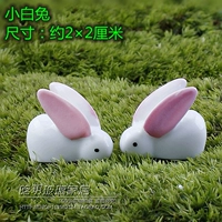 1 пара длинных ушей белые кролики