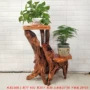 Rễ khắc tự nhiên khung gỗ rắn nghệ thuật trang trí phòng khách nhiều lớp cây cảnh bể cá xanh với hình gốc cây - Các món ăn khao khát gốc bộ bàn ghế bằng gốc cây